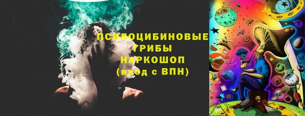 МДПВ Абаза