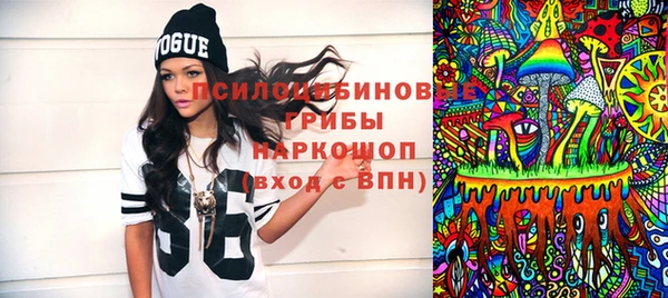 МДПВ Абаза