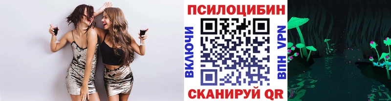 где купить   Староминская  мориарти телеграм  Псилоцибиновые грибы Psilocybe  МЕГА рабочий сайт 
